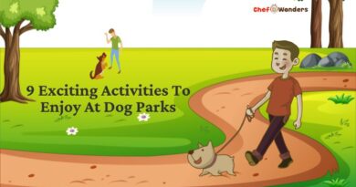 9 Exciting Activities To Enjoy At Dog Parks