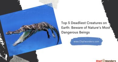 Top 5 Deadliest Creatures on Earth: Beware of Nature’s Most Dangerous Beings