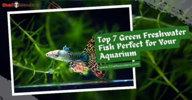 Top 7 Green Freshwater Fish Perfect for Your Aquarium