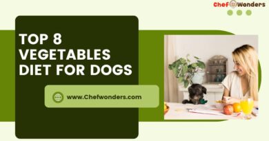 Top 8 Vegetables Diet for Dogs