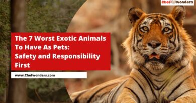 The 7 Worst Exotic Animals to Have as Pets: Safety and Responsibility First