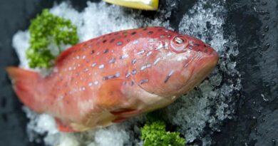 Complete List Of All The Nutrients In Fresh Grouper All You Need To Know